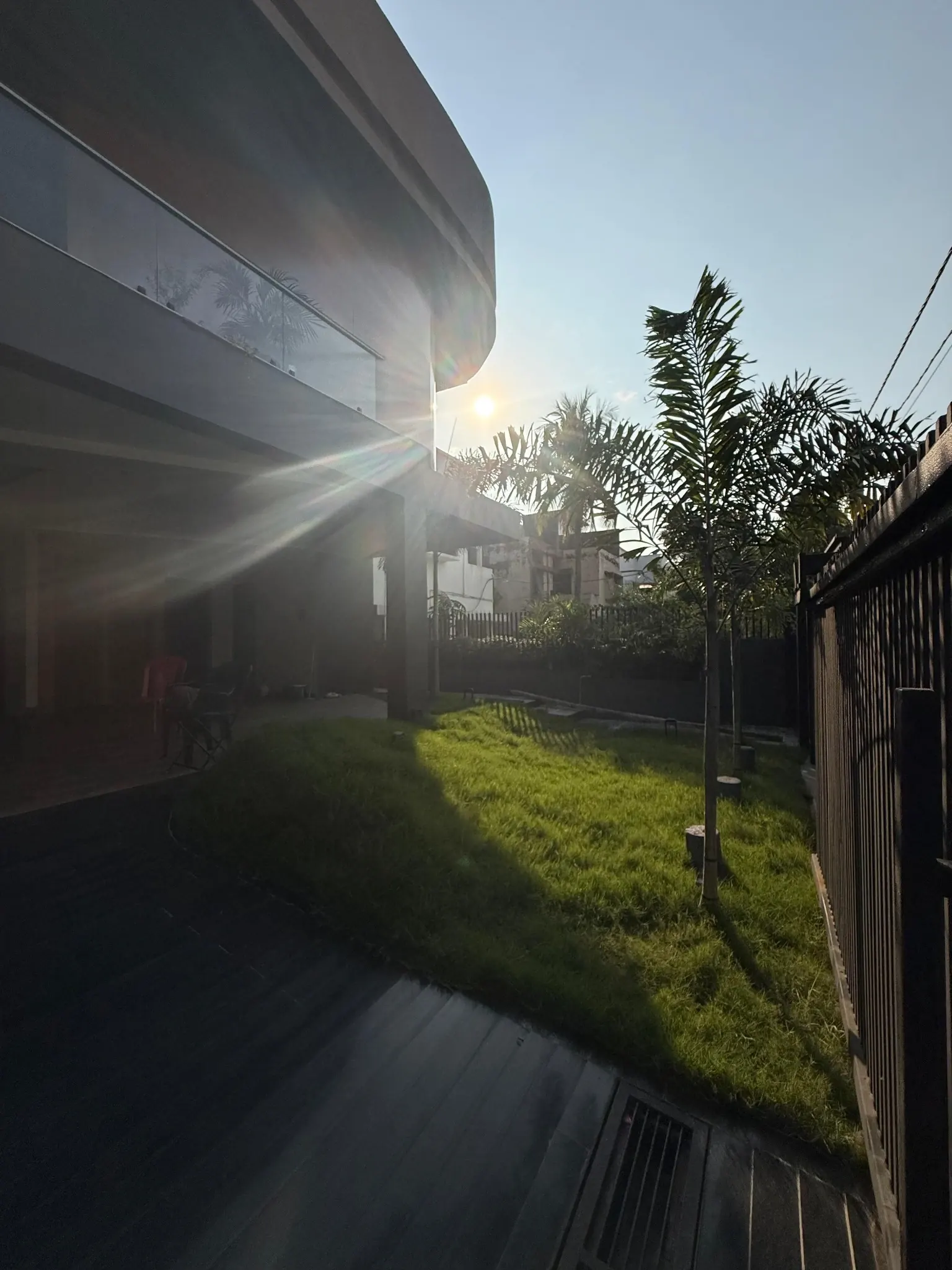 Sunlight filtering past Unnati’s curved facade into a planted garden